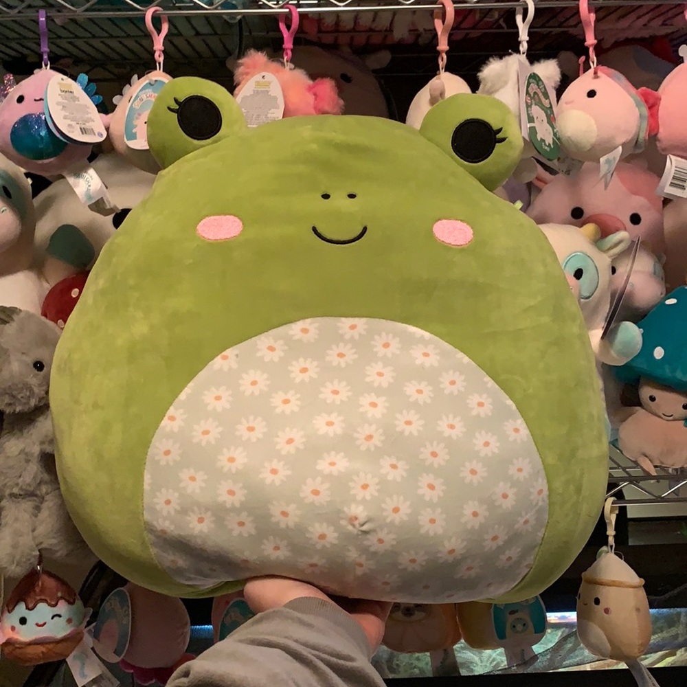 wendy 16” frog squishmallow